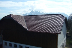 Dachdeckerei4